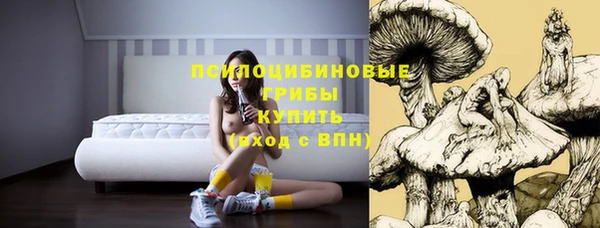 mdpv Зеленодольск