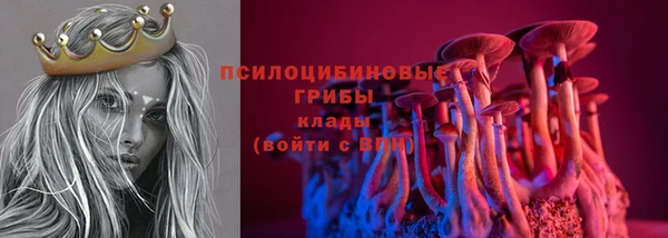 мдпв Зеленокумск