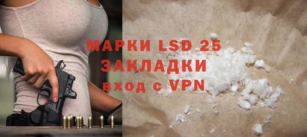 прущий лед Инсар