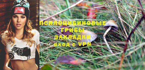 mdpv Зеленодольск