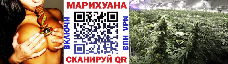 Купить закладки  Кольчугино  Марихуана Amnesia 